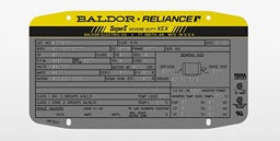 BALDOR Motors